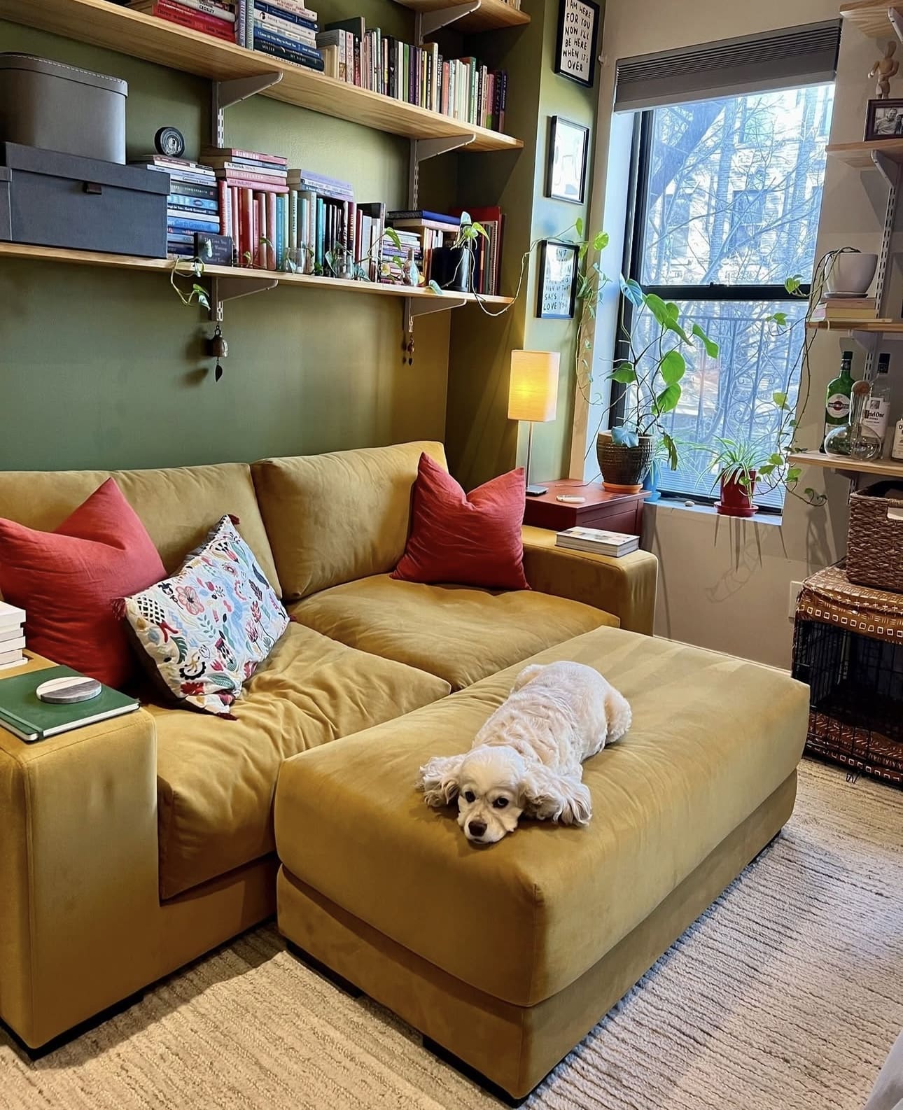 27 Small Apartment Living Room Decor Ideas 62 27 Small Apartment Living Room Decor Ideas IMG 0143 Small Apartment Living Room